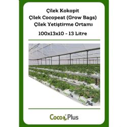 Coco Plus | Çilek Kokopit - Çilek Cocopeat (Grow Bags) - Çilek yetiştirme ortamı 100*13*10 cm